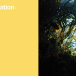 i330R slider banner