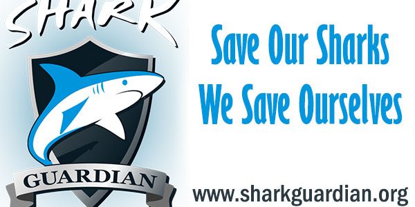 Shark-Guardian-Save-Our-Sharks-We-Save-Ourselves