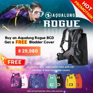 Aqualung Rogue BCD