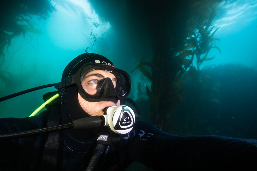 Hollis M1 Frameless Hollis M1 Mask
