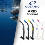 Oceanic ARID snorkeling