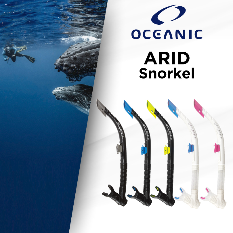 Oceanic ARID snorkeling